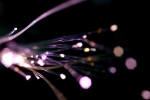 fibre optic strands glowing on a black background. Licenced under CC BY